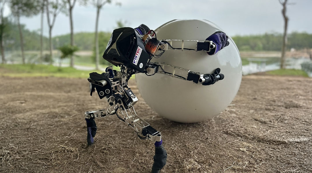 Dung Beetle-Inspired Quadruped Robot Achieves Dynamic Load Balancing