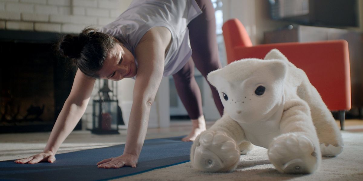 Therapeutic Robot Companions Enter Home Fitness Market